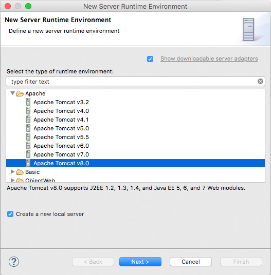 Tomcat 8 runtime environment